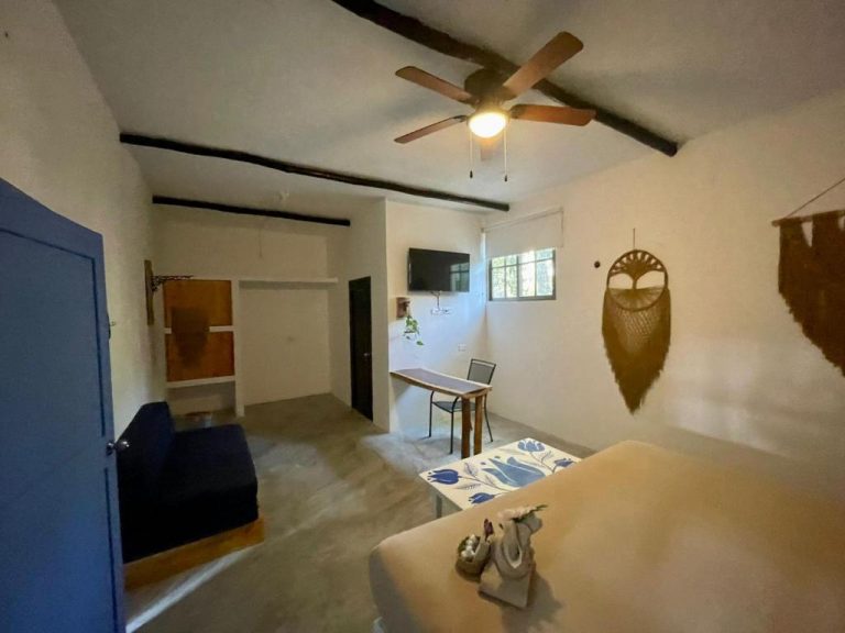 King Suite Sofacama 3