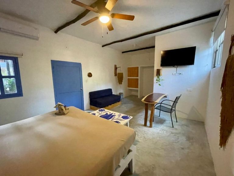 King Suite Sofacama 6